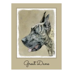 Great Dane (Brindle) Painting - Original Dog Art Postcard