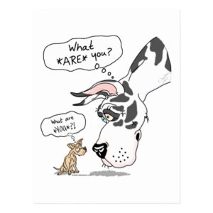 Great Dane & Chihuahua Harlequin Postcard