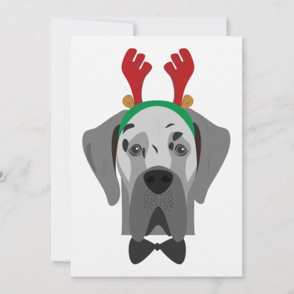 Great Dane Christmas Dog Portrait Holiday Card