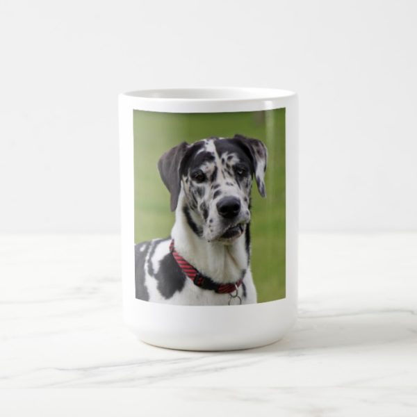 Great Dane dog beautiful photo portrait, gift Coffee Mug