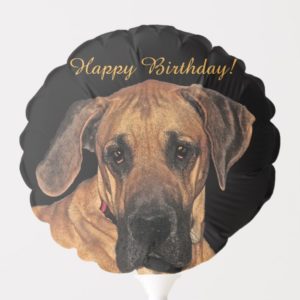 Great Dane Dog Birthday Animal Balloon