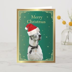 Great Dane dog in red santa hat christmas card