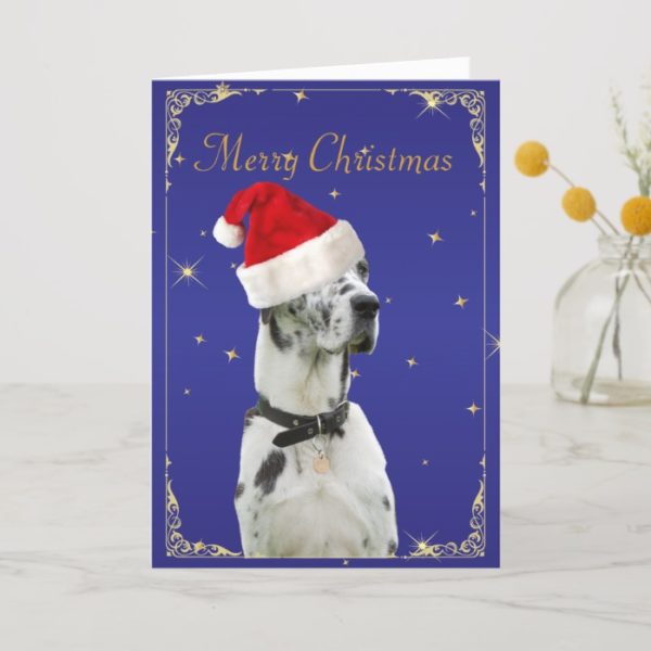 Great Dane dog in santa hat holiday christmas card