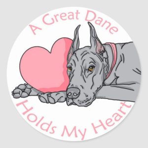 Great Dane Holds Heart Blue Classic Round Sticker
