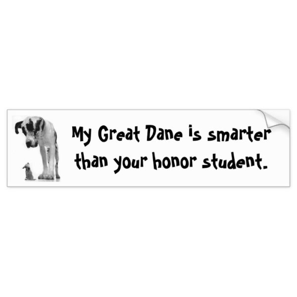 Great Dane is smarter bumper sticker