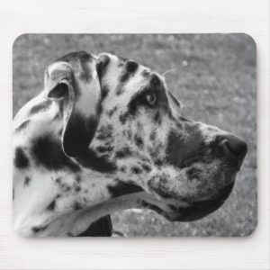 GREAT DANE MOUSE PAD