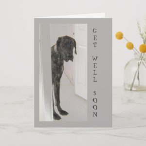 Great Dane  Pet Dog Humor Get Well Soon Card