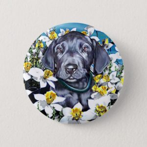Great Dane Pup in Daffodils Blue Pinback Button