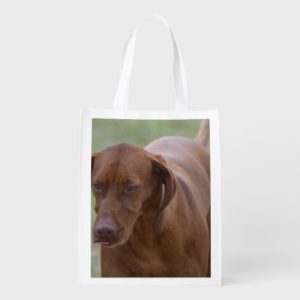 Great Vizsla Dog Reusable Grocery Bag