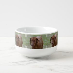 Great Vizsla Dog Soup Mug
