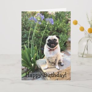 Greeting card: Happy Birthday! Card