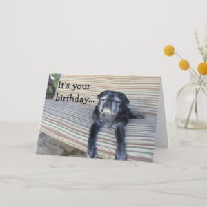 Greeting card: Happy birthday/Close your eyes Card