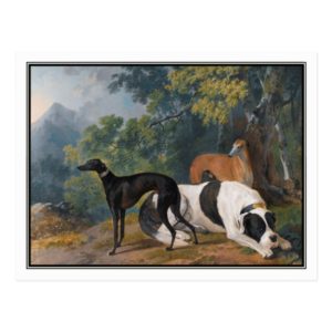 Greyhounds and Mastiff by Sawrey Gilpin Postcard