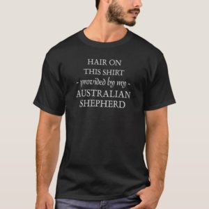 Hair on Shirt Provided by Australian Shepherd