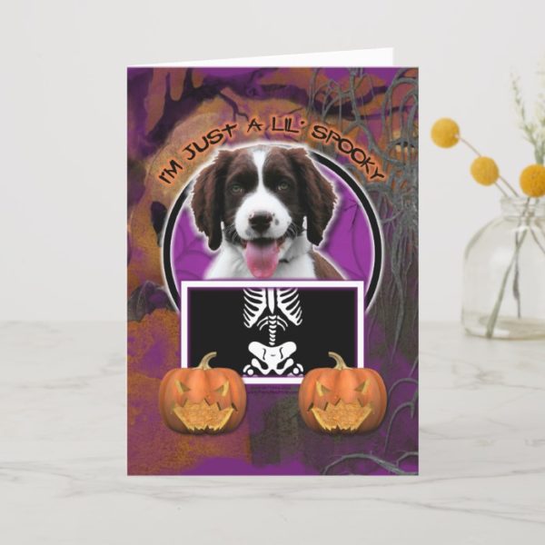 Halloween - Just a Lil Spooky - Springer Spaniel Card