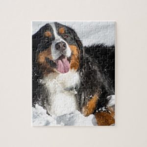 Happy Bernese Mountain Dog In Winter Snow Jigsaw Puzzle