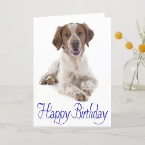 Happy Birthday Brittany Spaniel Puppy Dog Card