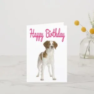 Happy Birthday Brittany Spaniel Puppy Dog Card