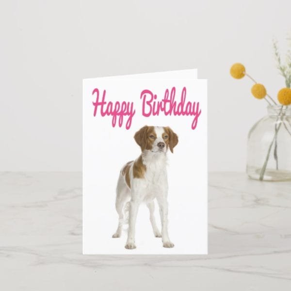 Happy Birthday Brittany Spaniel Puppy Dog Card