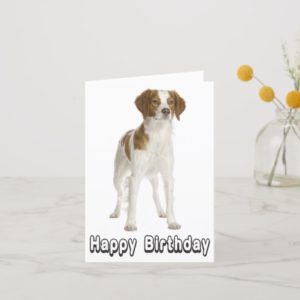 Happy Birthday Brittany Spaniel Puppy Dog Card