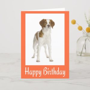 Happy Birthday Brittany Spaniel Puppy Dog Card