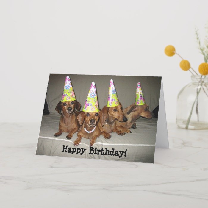 Happy Birthday Dachshund Card