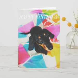 Happy Birthday - Dachshund Card
