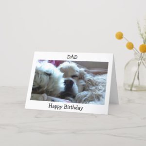 HAPPY BIRTHDAY DAD-TAKE NAP/DO WHATEVER U WISH CARD