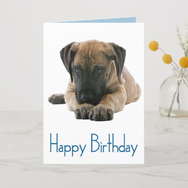 Happy Birthday Great Dane Puppy Dog Card - Verse