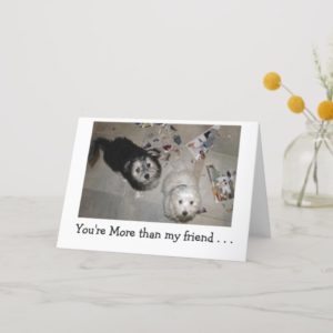 Happy BIrthday humor - puppy friends Card
