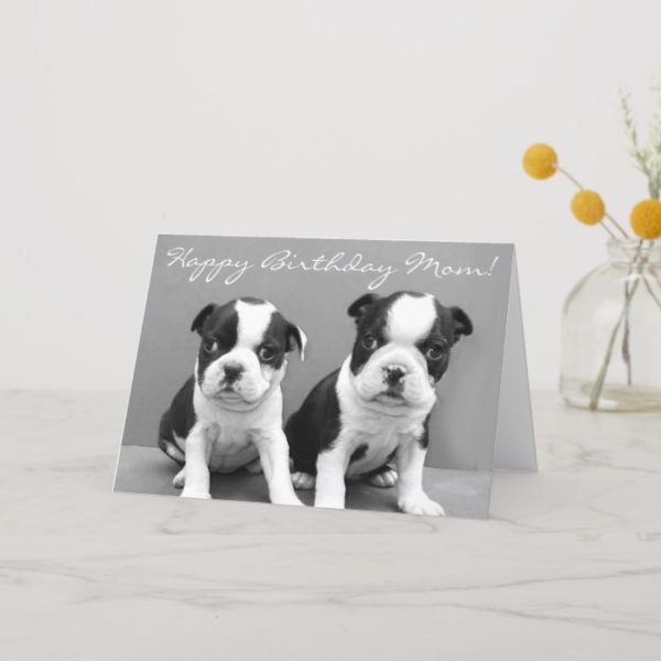 Happy Birthday Mom Boston Terrier Puppies card