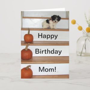 Happy Birthday Mom - puppy and pumkin Havanese Card