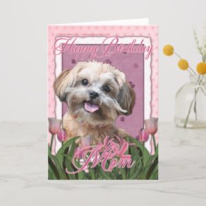 Happy Birthday Mom - ShihPoo - Maggie Card