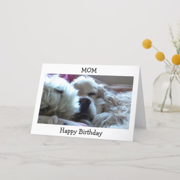 HAPPY BIRTHDAY MOM-TAKE NAP/DO WHATEVER U WISH CARD