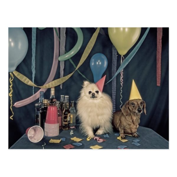 Happy Birthday Party with Dogs and Drinks Postcard