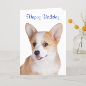 Happy Birthday Pembroke Welsh Corgi Greeting Card