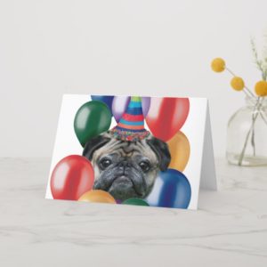 Happy birthday Pug dog Card
