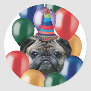 Happy birthday Pug dog Stickers