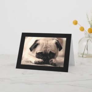 Happy Birthday Pug Puppy Dog Black  Greeting Card