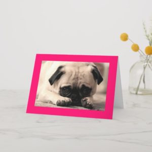 Happy Birthday Pug Puppy Dog Pink  Greeting Card