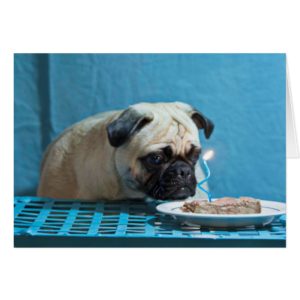 Happy Birthday Pug With Steak Candle - Card