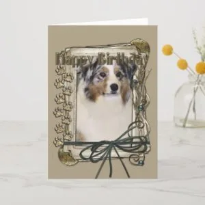 Happy Birthday - Stone Paws - Australian Shepherd Card