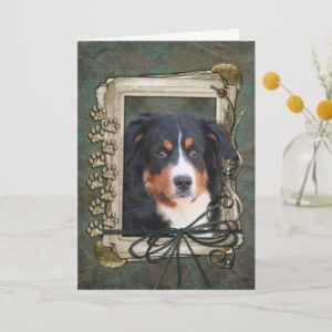 Happy Birthday - Stone Paws - Bernese Mountain Dog Card