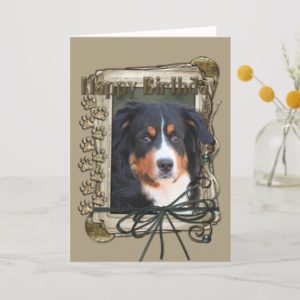 Happy Birthday - Stone Paws - Bernese Mountain Dog Card