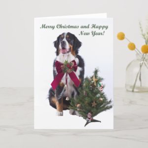 Happy Christmas Holiday Card