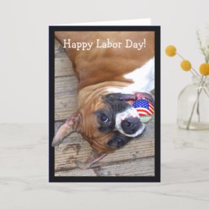 Happy Labor Day Boxer Greeting Card