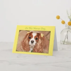 Happy Nurses Day With Sweet Cavalier King Charles Card