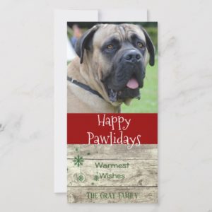 Happy Pawlidays | Pet Christmas Greeting Photo Holiday Card