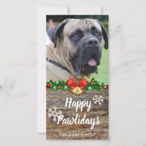 Happy Pawlidays | Pet Photo Christmas Holiday Card