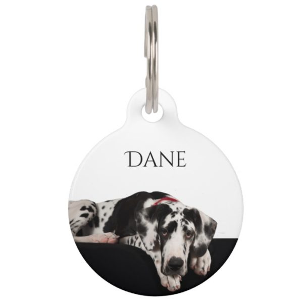 Harlequin Great Dane Pet ID Tag